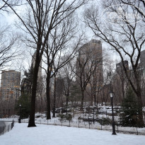 фото из отзыва ID 2699679