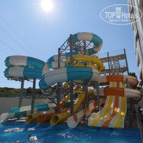 фото из отзыва ID 2699698