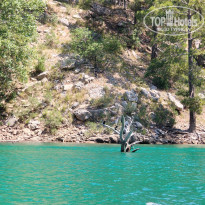 фото из отзыва ID 2699698