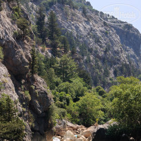 фото из отзыва ID 2699698