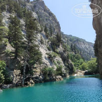 фото из отзыва ID 2699698