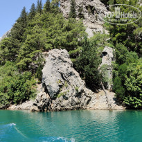 фото из отзыва ID 2699698