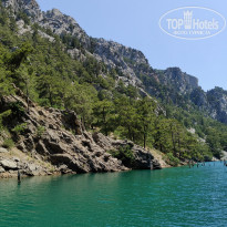 фото из отзыва ID 2699698