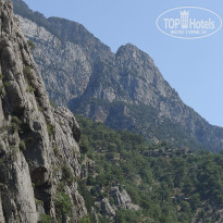 фото из отзыва ID 2699698