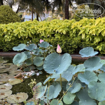 фото из отзыва ID 2699700