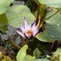 фото из отзыва ID 2699700