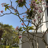 фото из отзыва ID 2699700