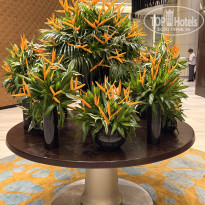 фото из отзыва ID 2699700