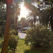 фото из отзыва ID 2699700