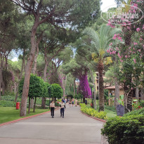 фото из отзыва ID 2699701