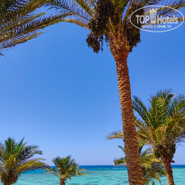 фото из отзыва ID 2699758