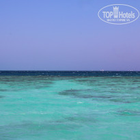 фото из отзыва ID 2699758