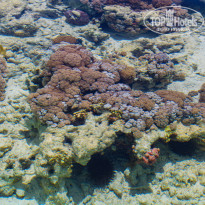 фото из отзыва ID 2699758