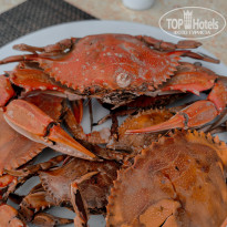 фото из отзыва ID 2699758