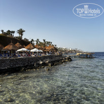 фото из отзыва ID 2699781