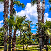 фото из отзыва ID 2699784