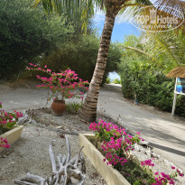 фото из отзыва ID 2699787