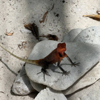 фото из отзыва ID 2699787