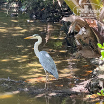 фото из отзыва ID 2699787