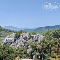 фото из отзыва ID 2699779