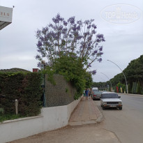 фото из отзыва ID 2699831