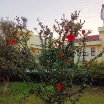 фото из отзыва ID 2699831