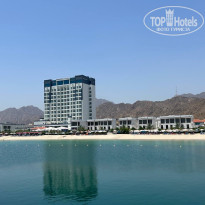 фото из отзыва ID 2699864