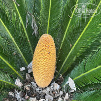 фото из отзыва ID 2699625