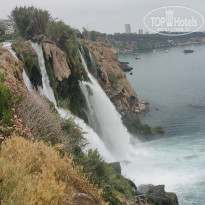 фото из отзыва ID 2699879