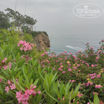 фото из отзыва ID 2699879