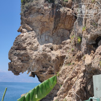 фото из отзыва ID 2699879