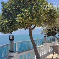 фото из отзыва ID 2699879