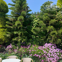 фото из отзыва ID 2699879