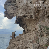 фото из отзыва ID 2699879