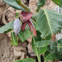 фото из отзыва ID 2699879