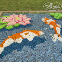 фото из отзыва ID 2699879