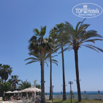 фото из отзыва ID 2699879