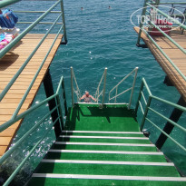 фото из отзыва ID 2699879