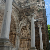 фото из отзыва ID 2699879