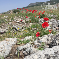 фото из отзыва ID 2699879