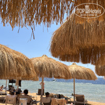 фото из отзыва ID 2699924