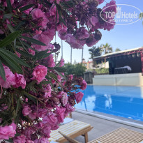 фото из отзыва ID 2699931