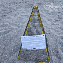 фото из отзыва ID 2699947