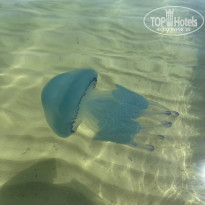 фото из отзыва ID 2699983