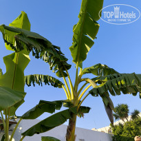 фото из отзыва ID 2699983