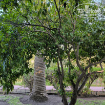 фото из отзыва ID 2699983