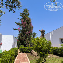 фото из отзыва ID 2699983