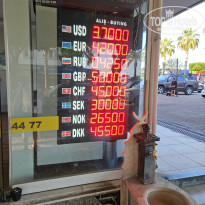 фото из отзыва ID 2699947