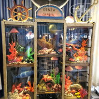 фото из отзыва ID 2699947