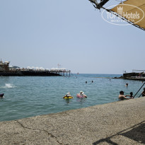 фото из отзыва ID 2699947